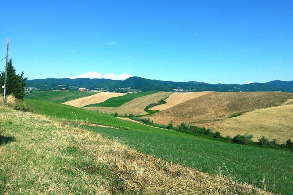 Villaggio Residence La Pieve Di Pomaia Rum bild